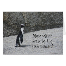 Lost Penguin Card