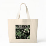 LOST WINGS bags