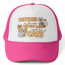 Lots Of Cats
