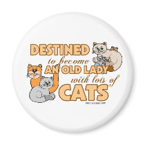 Lots Of Cats