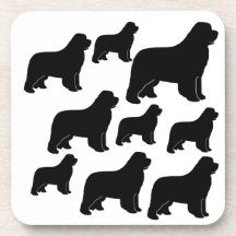 Lots of Newfoundland dogs Drink Coaster