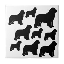 Lots of Newfoundland dogs Tiles