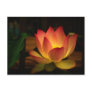 Lotus 1 postcard