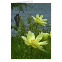 Lotus and Barn Swallow Note Card