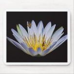Lotus and bee meaning mouse pad