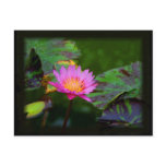 Lotus Bloom Post Card