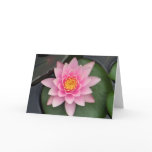 Lotus Blossom #1 Greeting Cards