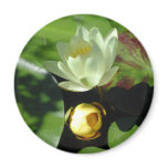 Lotus Blossom Magnet