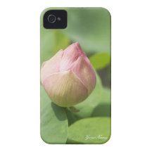 Lotus Case Case-Mate iPhone 4 Cases