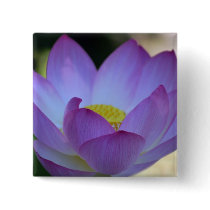 Lotus flower and its meaning pin