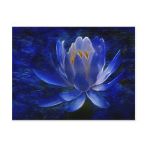 Lotus flower and its meaning post card