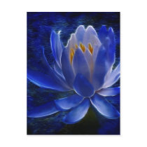Lotus flower and its meaning post card