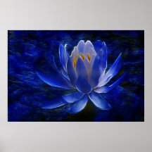 Lotus flower and its meaning poster
