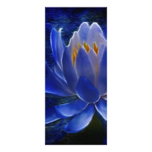 Lotus flower and its meaning rack cards