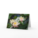 Lotus flower and meaning greeting card