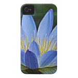 Lotus flower and meaning iPhone 4 Case-Mate cases