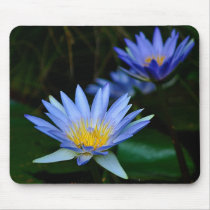Lotus flower and meaning mouse pad