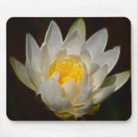 Lotus flower and meaning mouse pads