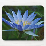 Lotus flower and meaning mousepad