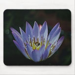 Lotus flower and meaning mousepads