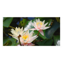 Lotus flower and meaning personalized photo card