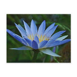 Lotus flower and meaning postcard