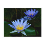 Lotus flower and meaning postcards
