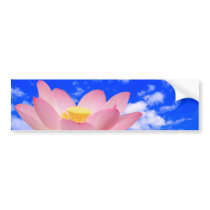 Lotus Flower Born in Water