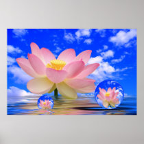 Lotus Flower Born in Water