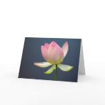 lotus flower greeting cards