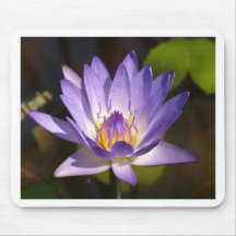 lotus  flower mouse pads