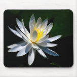 Lotus flower or waterlily and meaning mousepads