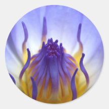 lotus  flower stickers