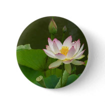Lotus Flowers Ponds Button