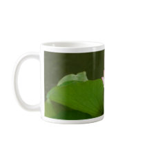 Lotus Flowers Ponds Mugs