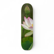 Lotus Flowers Ponds Skateboard Deck