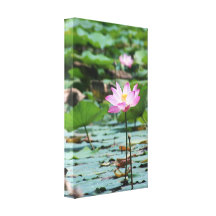 Lotus Gallery Wrapped Canvas