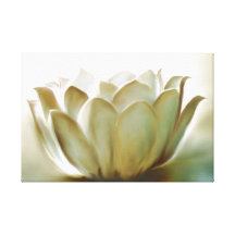 Lotus Gespannte Galeriedrucke