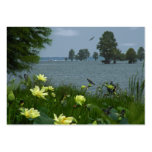 Lotus Lake with Swallows Photo ATC Card Business Card
