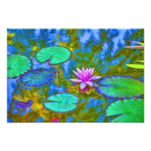 Lotus Lily Pad Water Lily in an Italian Garden Photograph