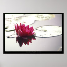 lotus  poster