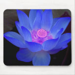 lotus,waterlily mouse pad