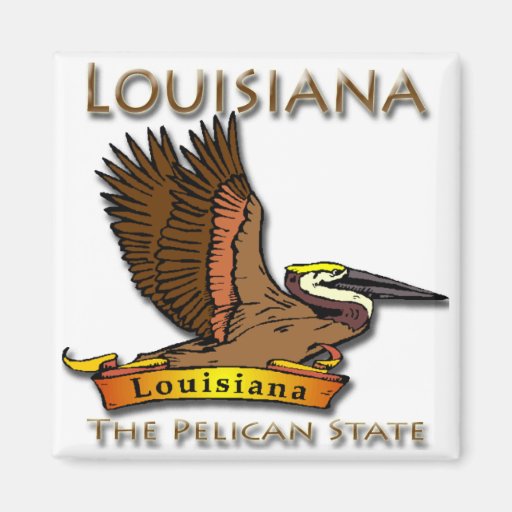 Louisiana Pelican State Pelican Fridge Magnet