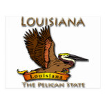 Louisiana Pelican State Pelican Post Card