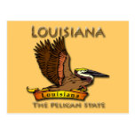 Louisiana Pelican State Pelican Post Card