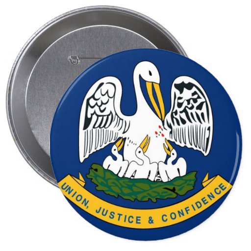 Louisiana State Flag Pin