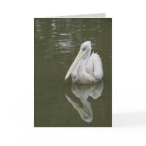 "louisiana white pelican" greeting card