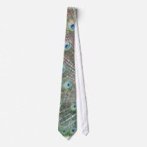 LOUISVILLE ZOO ANIMAL LINEUP CRANE, PEACOCK NECK TIES