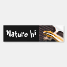 lounging after midnight bumper sticker