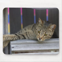Lounging Cat Mousepad